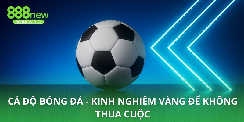 Cá độ bóng đá