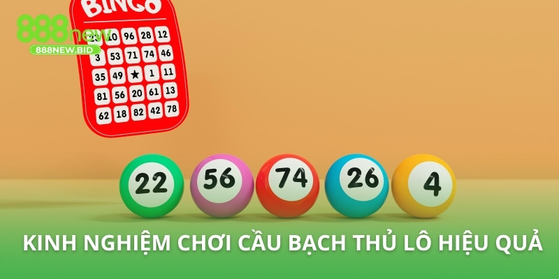 Kinh nghiệm chơi cầu bạch thủ lô hiệu quả