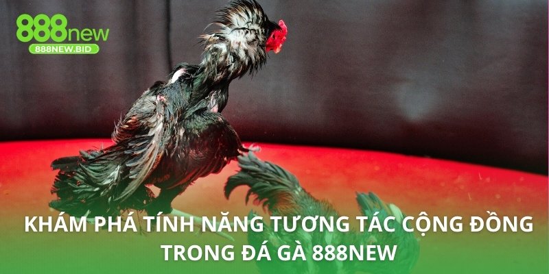 Khám phá tính năng tương tác cộng đồng trong đá gà 888NEW