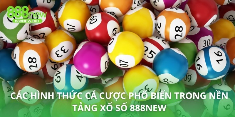 Các hình thức cá cược phổ biến trong nền tảng xổ số 888NEW